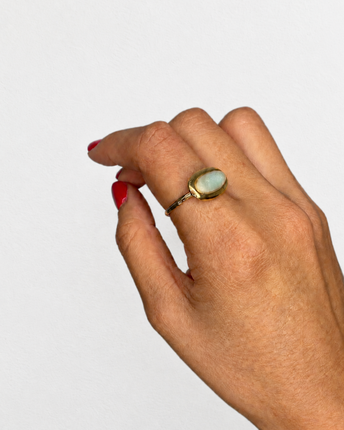 Anillo 8